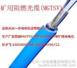 新疆MGTSV阻燃通信光纜介紹 MGTSV-16B1光纜廠家報(bào)價(jià)與細(xì)節(jié)解析——天潤(rùn)一舟電纜集團(tuán)